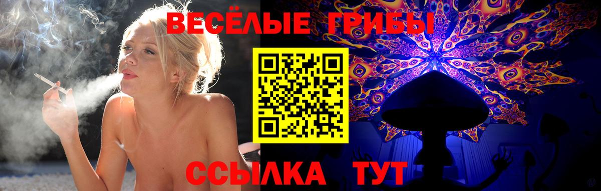 Псилоцибиновые грибы мицелий  Вход с VPN  Клин 